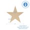 Wooden Star Cutout, Multiple Sizes Available, Unfinished, July 4 & Year Round Crafts | Woodpeckers